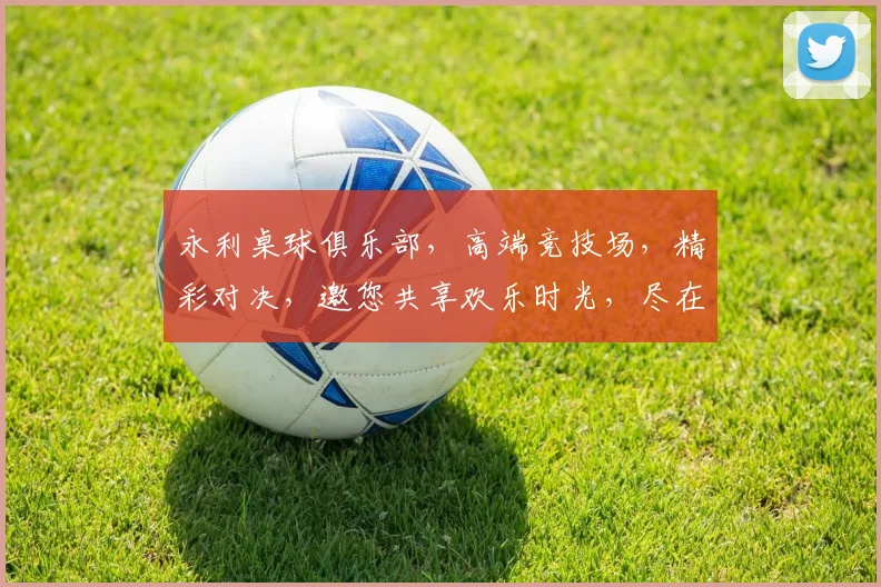 永利桌球俱乐部，高端竞技场，精彩对决，邀您共享欢乐时光，尽在永利